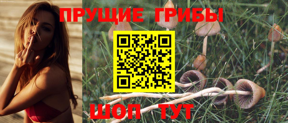 Галлюциногенные грибы Psilocybe  Псилоцибиновые грибы Magic Shrooms  Гагарин  даркнет сайт  Вход с VPN 